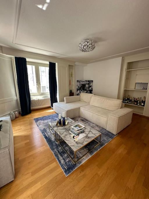 Cozy Apartment In Oldtown Zurich5 المظهر الخارجي الصورة
