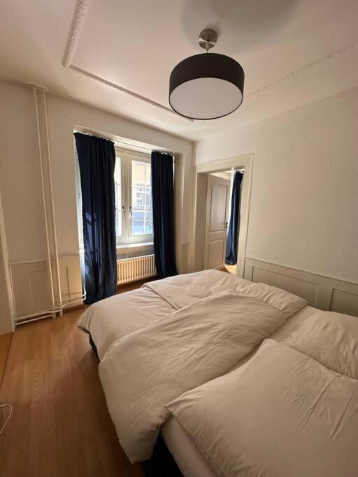 Cozy Apartment In Oldtown Zurich5 المظهر الخارجي الصورة